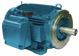 WEG Electric Motor